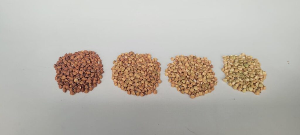 whatsapp image 2025 10 30 à 16.34.11 a5916efd