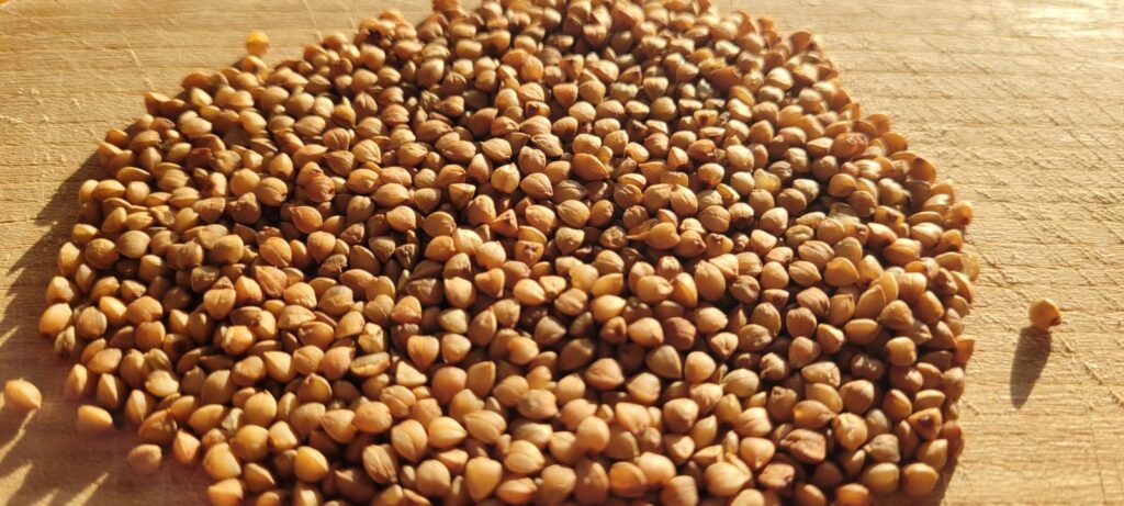 whatsapp image 2025 10 30 à 16.32.46 4cca7d5d