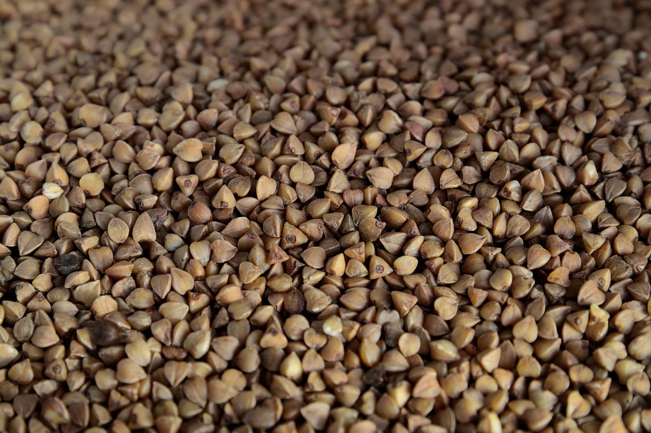 buckwheat, cereals, diet, diet food, food, buckwheat, buckwheat, buckwheat, buckwheat, buckwheat