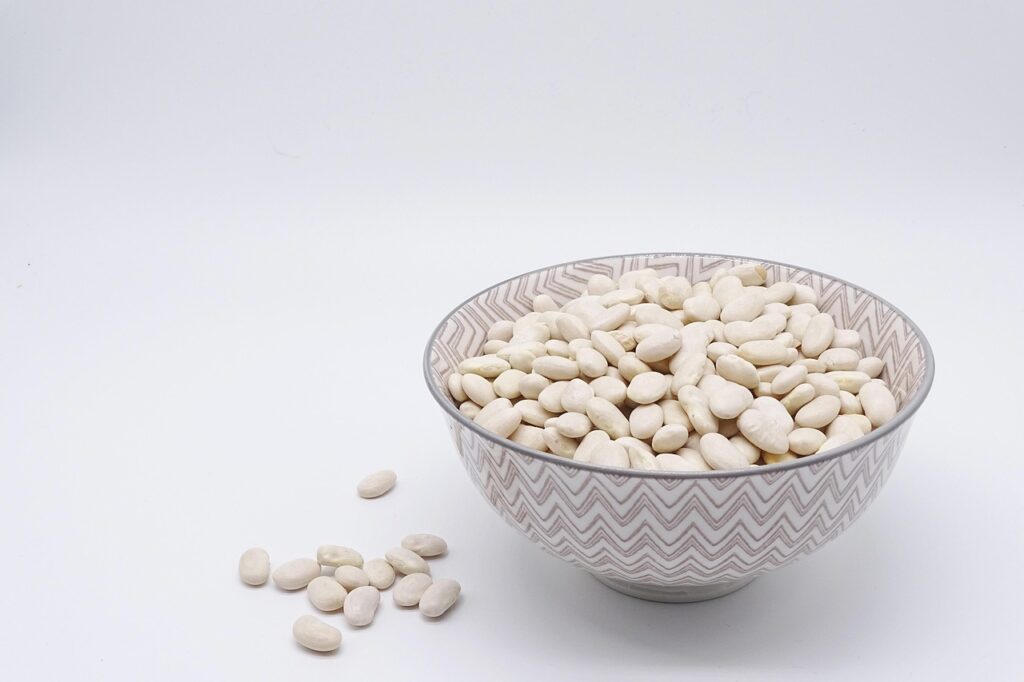 bean, white beans, legumes, food, protein, vegetarian