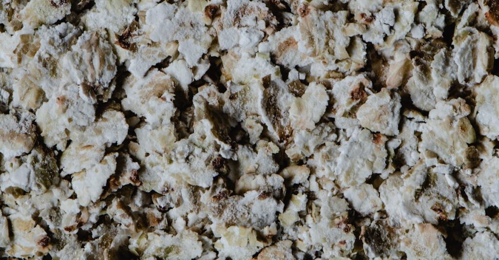Detailed close-up of dry buckwheat flakes providing a textured and earthy background.